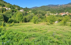 SAINT ETIENNE D'ALBAGNAN, Occitanie 34390