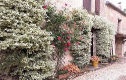 Cherves, Vienne