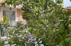 Bormes-les-Mimosas, Provence-Alpes-Côte d'Azur 83230