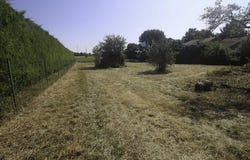 NACHAMPS, Poitou-Charentes 17380