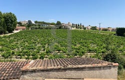 Vacqueyras, Provence-Alpes-Côte d'Azur 84190