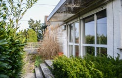 Buschwiller, Grand Est 68220