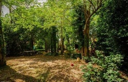 Lesparre-Medoc, Aquitaine 33340