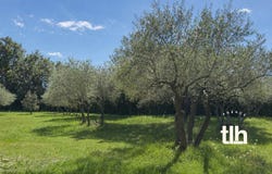 Saint-Drézéry, Languedoc-Roussillon 34160