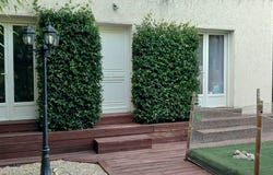 Molières-sur-Cèze, Languedoc-Roussillon 30410