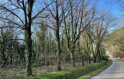 Guer, Bretagne 56380
