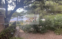 Monticello, Haute-Corse 20220
