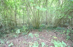 Mouy, Oise 60250