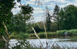 GY EN SOLOGNE, Centre-Val de Loire 41230