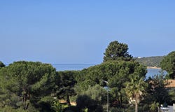 COGGIA, Corsica 20118