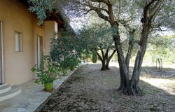 Saint-Bauzille-de-la-Sylve, Hérault 34230