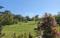 Ortaffa, Languedoc-Roussillon 66560
