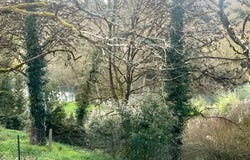 Smarves, Poitou-Charentes 86240