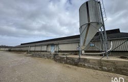 DANGÉ-SAINT-ROMAIN, Nouvelle-Aquitaine 86220