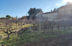 Richerenches, Provence-Alpes-Côte d'Azur 84600