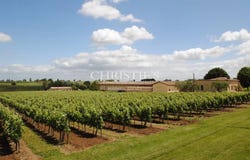 Blasimon, Aquitaine 33540