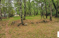 Coux, Ardèche 07000
