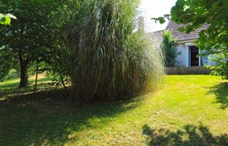 Evans, Franche-Comté 39700