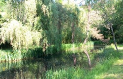 Bouzy-la-Forêt, Centre-Val de Loire 45460