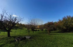 Castillon-de-Saint-Martory, Haute-Garonne 31360