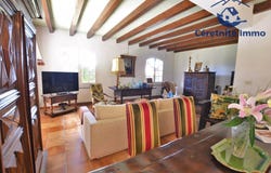 Céret, Pyrénées-Orientales 66400