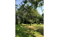 12 Rue de la Gueulee, Burgundy, Burgundy 89710