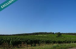 Chagny, Bourgogne 71150