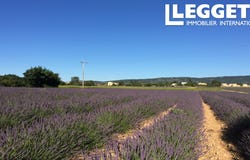 Sault, Provence-Alpes-Côte d'Azur 84390