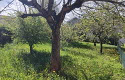 Lacaune, Tarn 81230