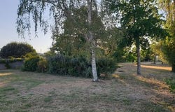 NIEULLE SUR SEUDRE, Poitou-Charentes 17600
