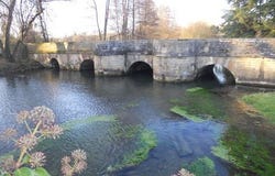 SALLES, Poitou-Charentes 79800