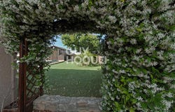 Ouveillan, Languedoc-Roussillon 11590