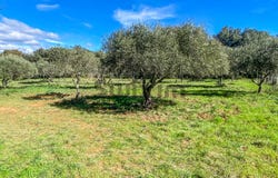 Saint-Siffret, Occitanie 30700