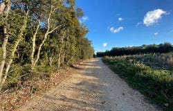 Le Pin, Languedoc-Roussillon 30330