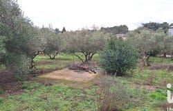 Aubais, Occitanie 30250