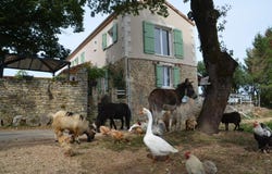 GABILLOU, Nouvelle-Aquitaine 24210
