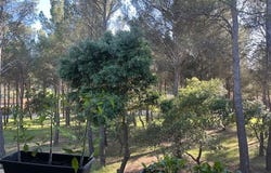 Saumane-de-Vaucluse, Provence-Alpes-Côte-d'Azur 84800