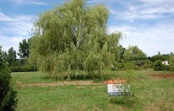 Etauliers, Aquitaine 33820