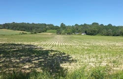 Gabaston, Aquitaine 64160