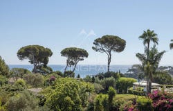 Antibes, Provence-Alpes-Côte-d'Azur 06600