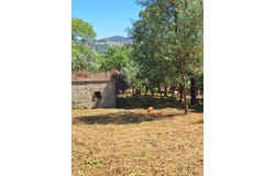 Cogolin, Var 83310