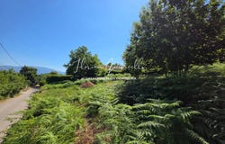 Santo-Pietro-di-Venaco, Haute-Corse 20250