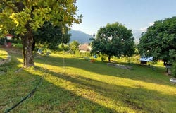 La Buisse, Rhône-Alpes 38500