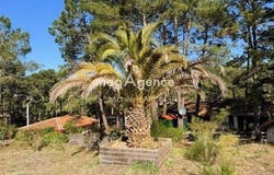 Moliets-Et-Maa, Aquitaine 40660