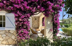 Antibes, Provence-Alpes-Côte-d'Azur 06600