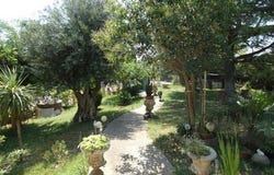 Peyriac-Minervois, Languedoc-Roussillon 11160