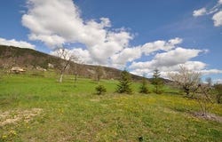 MEAILLES, Provence-Alpes-Côte d'Azur 04240