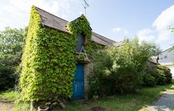 MAURON, Brittany 56430