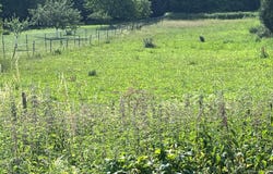 Bousbach, Lorraine 57460