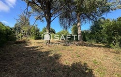 Niort, Poitou-Charentes 79000